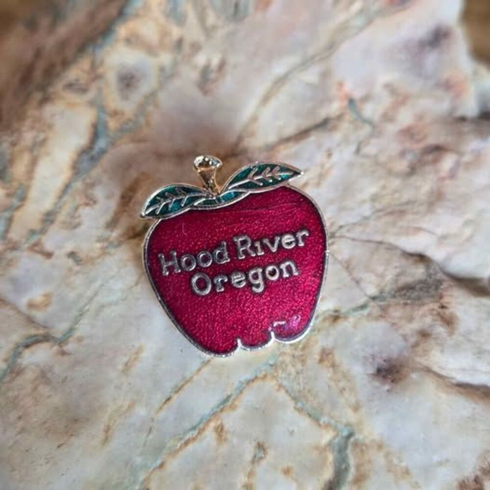 Vintage Hood River Oregon Red Apple Souvenir Brooch Pin Gold Tone Enamel